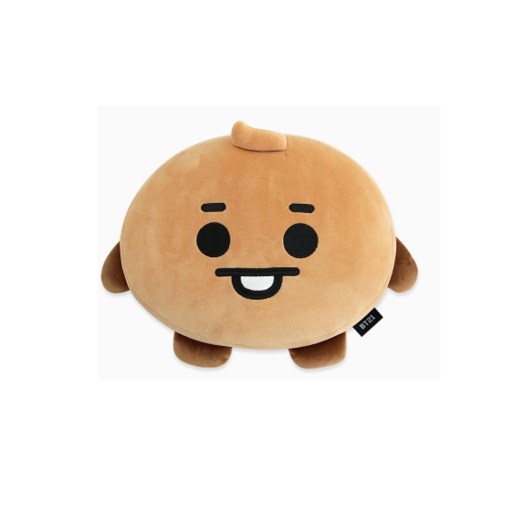 Baby-BT21-shooky-Face-Cushion